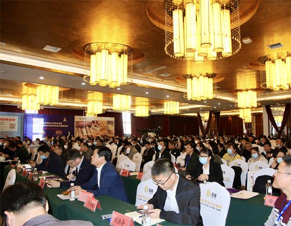 巅峰国际官网-钻营健全,你我一路成长