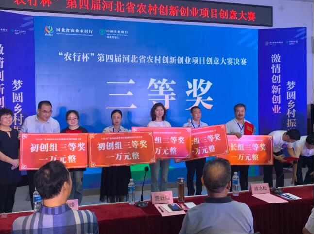 巅峰国际官网-钻营健全,你我一路成长