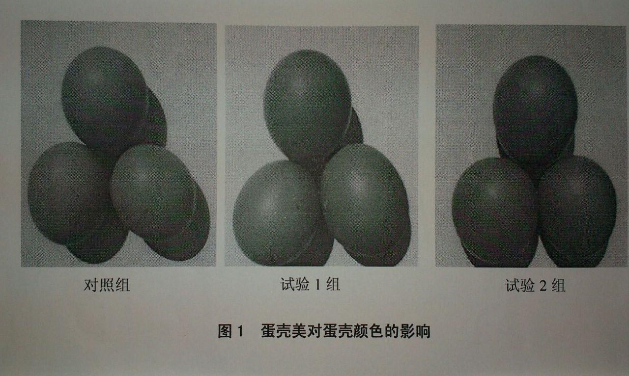 巅峰国际官网-钻营健全,你我一路成长