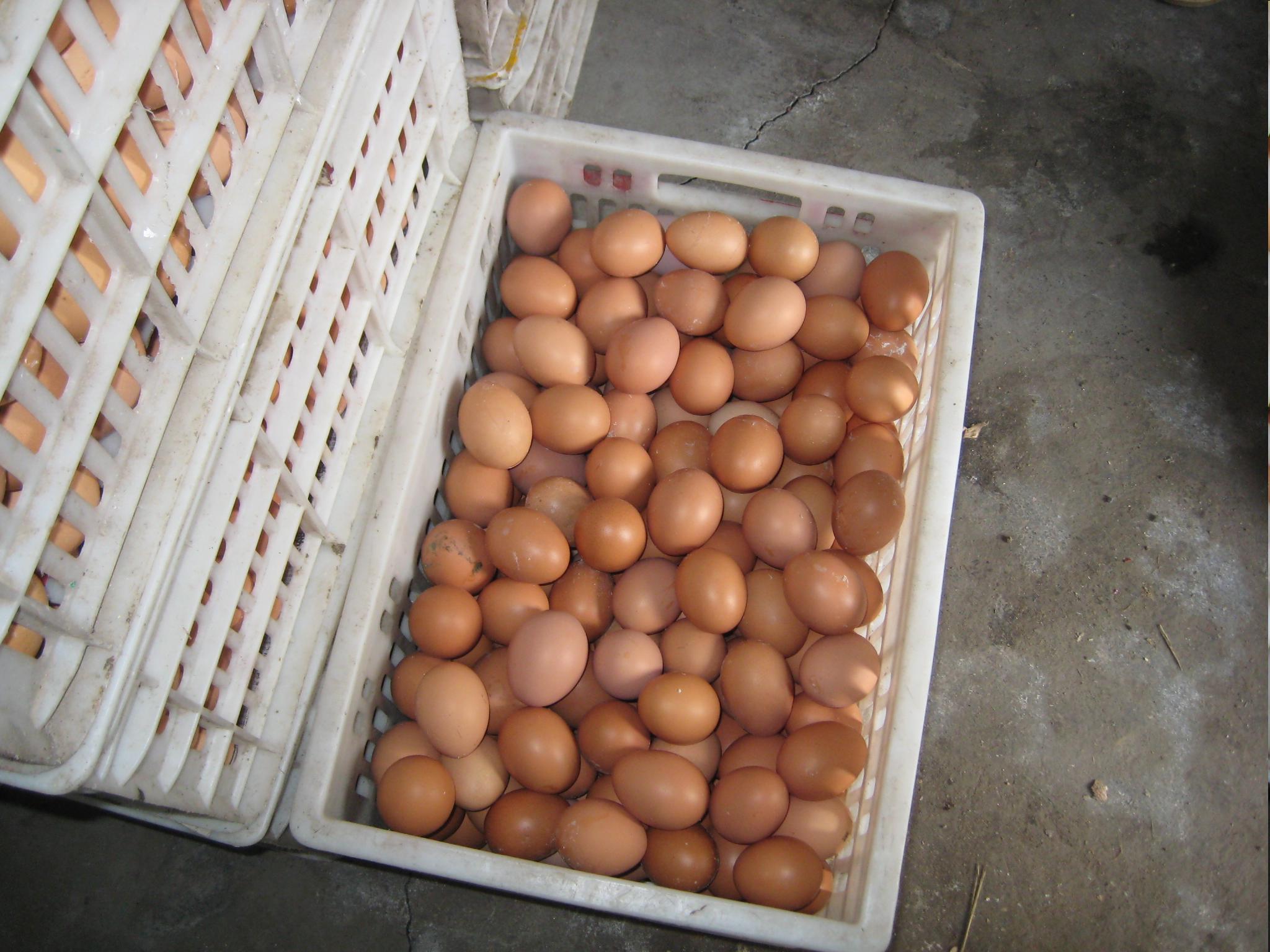 巅峰国际官网-钻营健全,你我一路成长