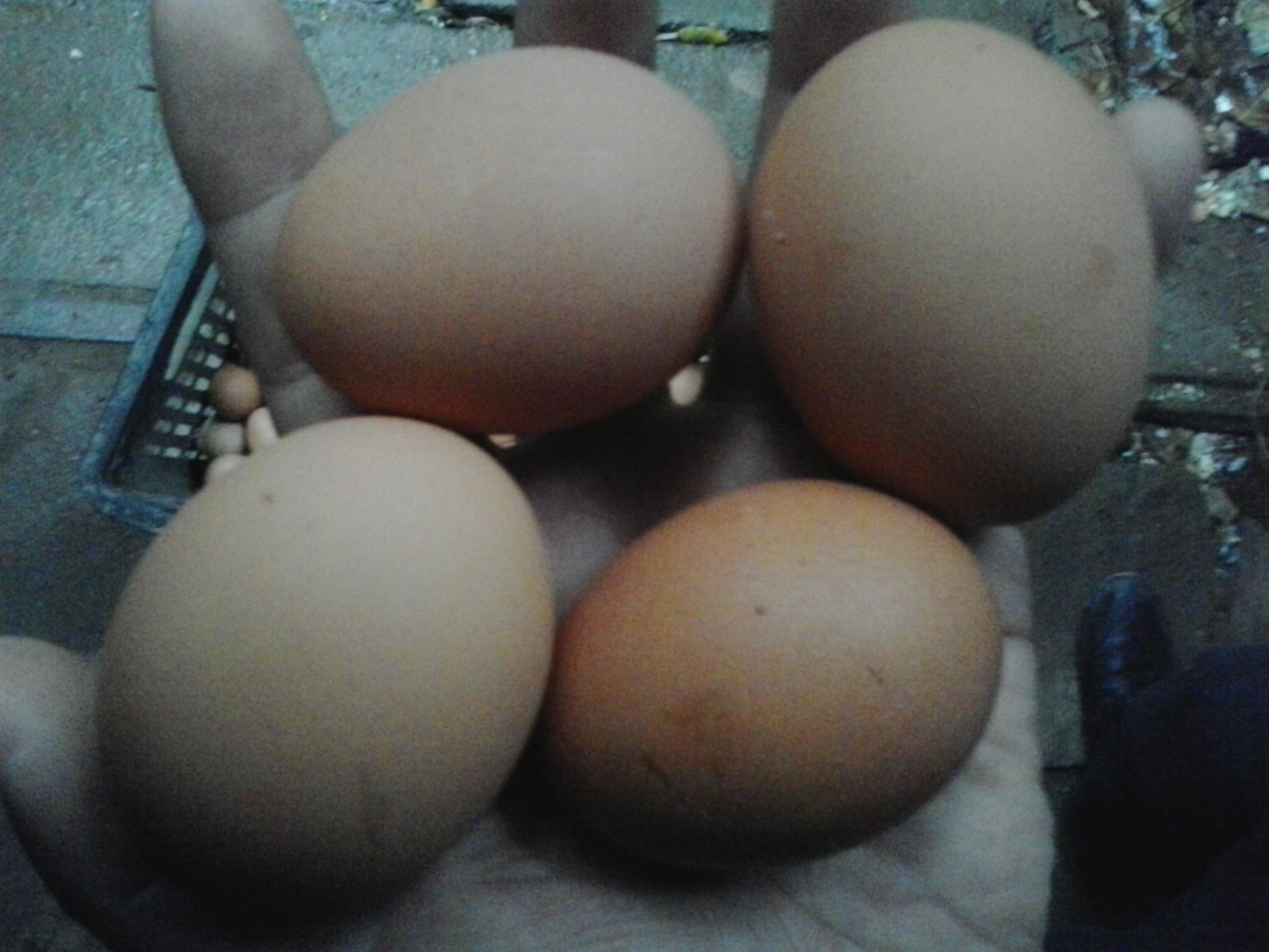 巅峰国际官网-钻营健全,你我一路成长