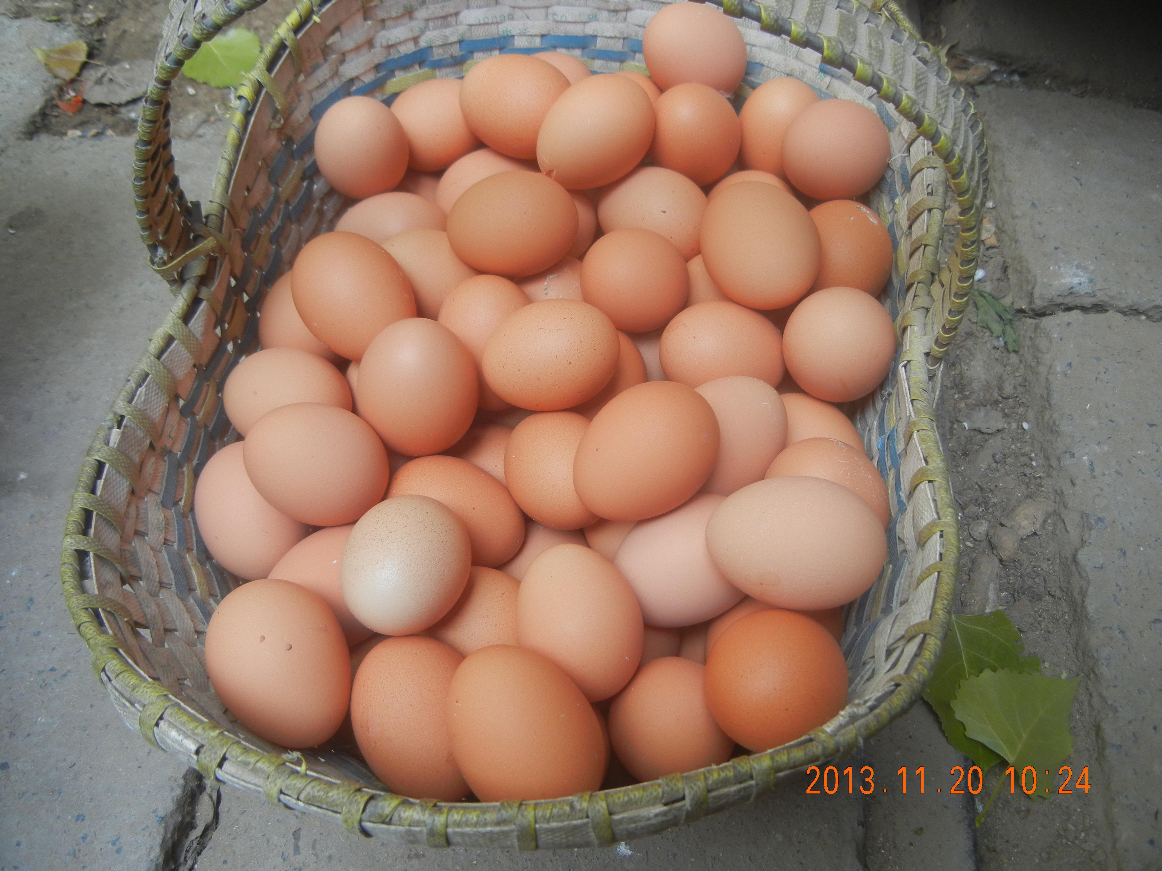 巅峰国际官网-钻营健全,你我一路成长