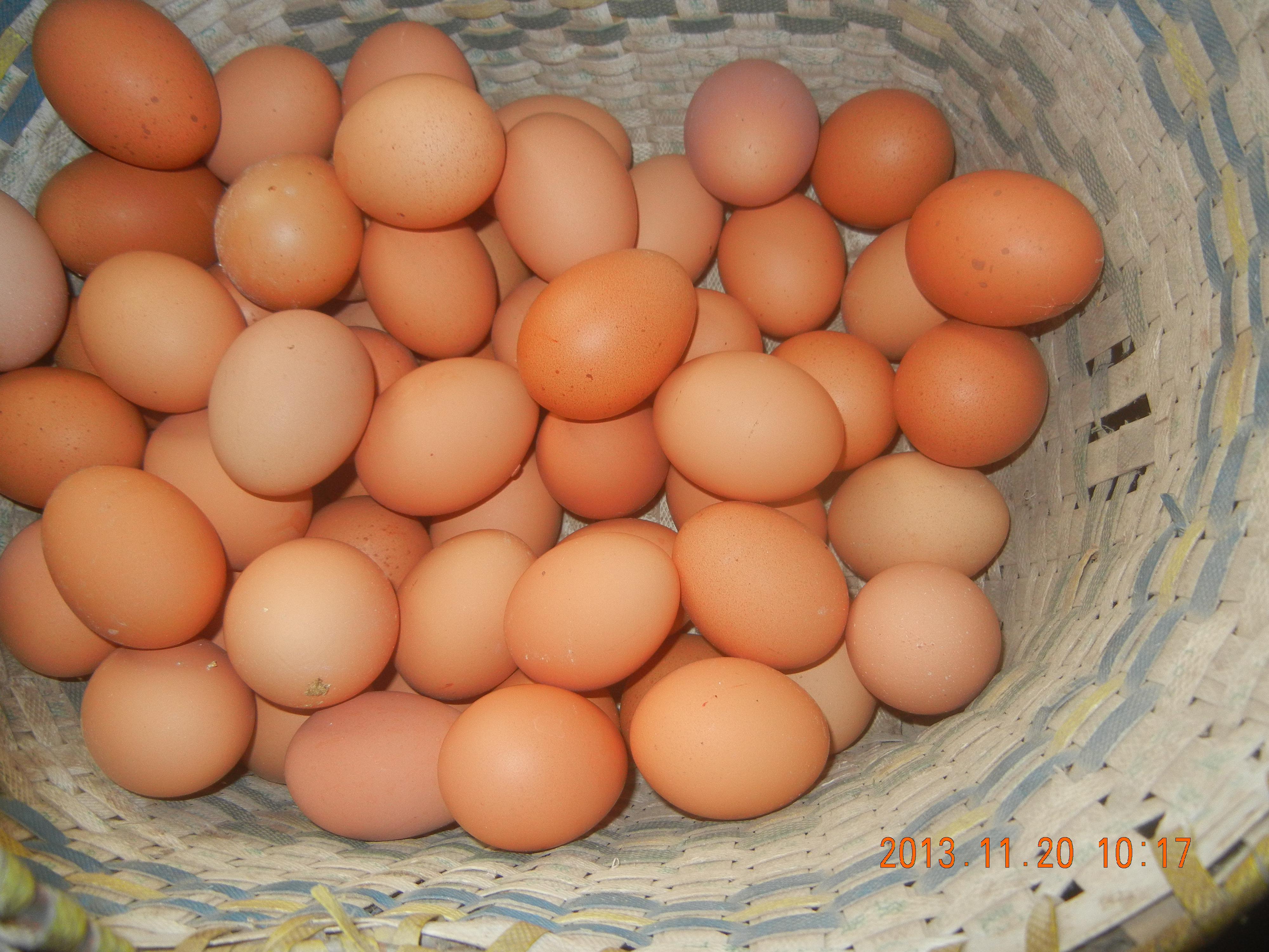 巅峰国际官网-钻营健全,你我一路成长