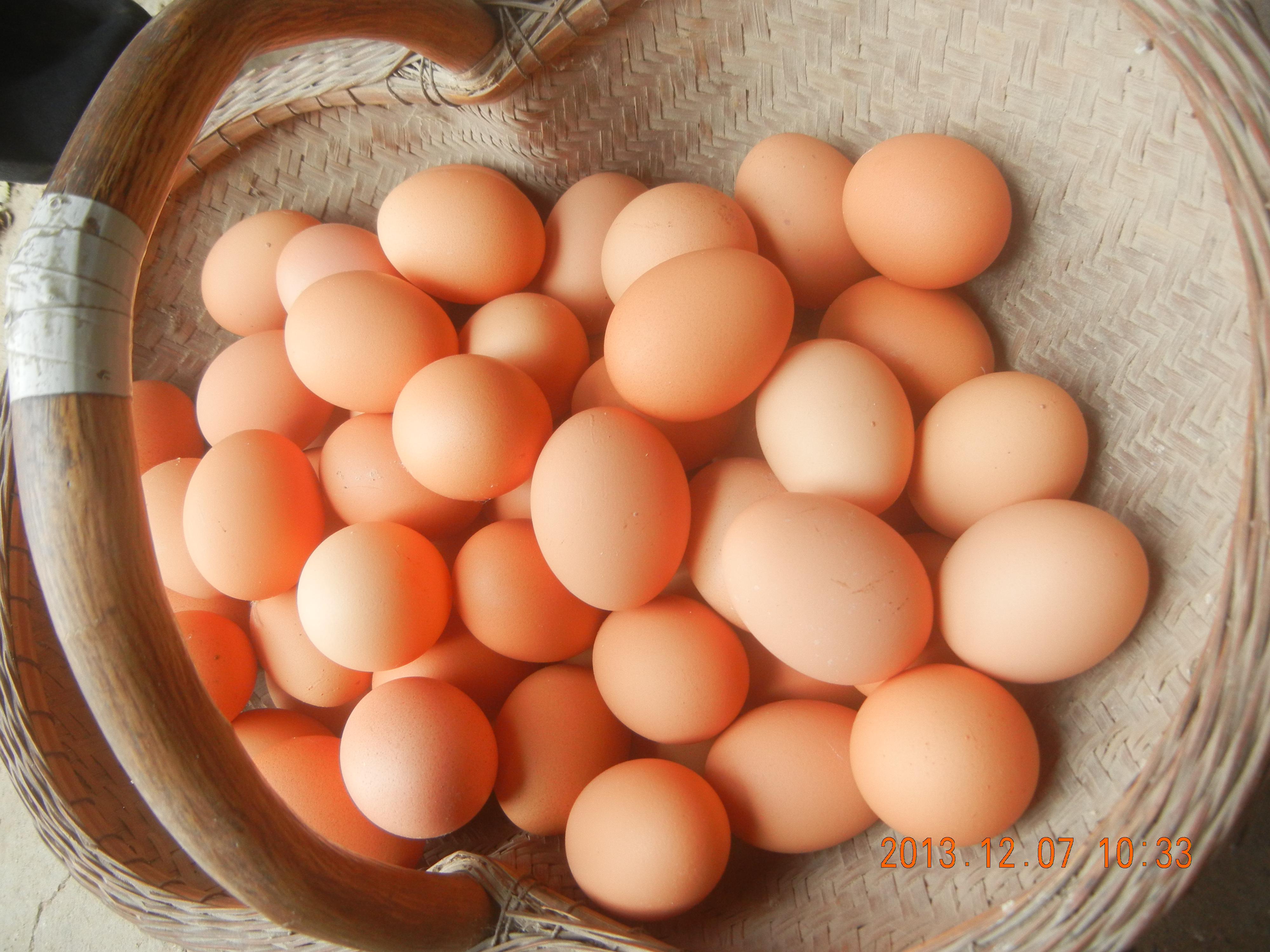 巅峰国际官网-钻营健全,你我一路成长