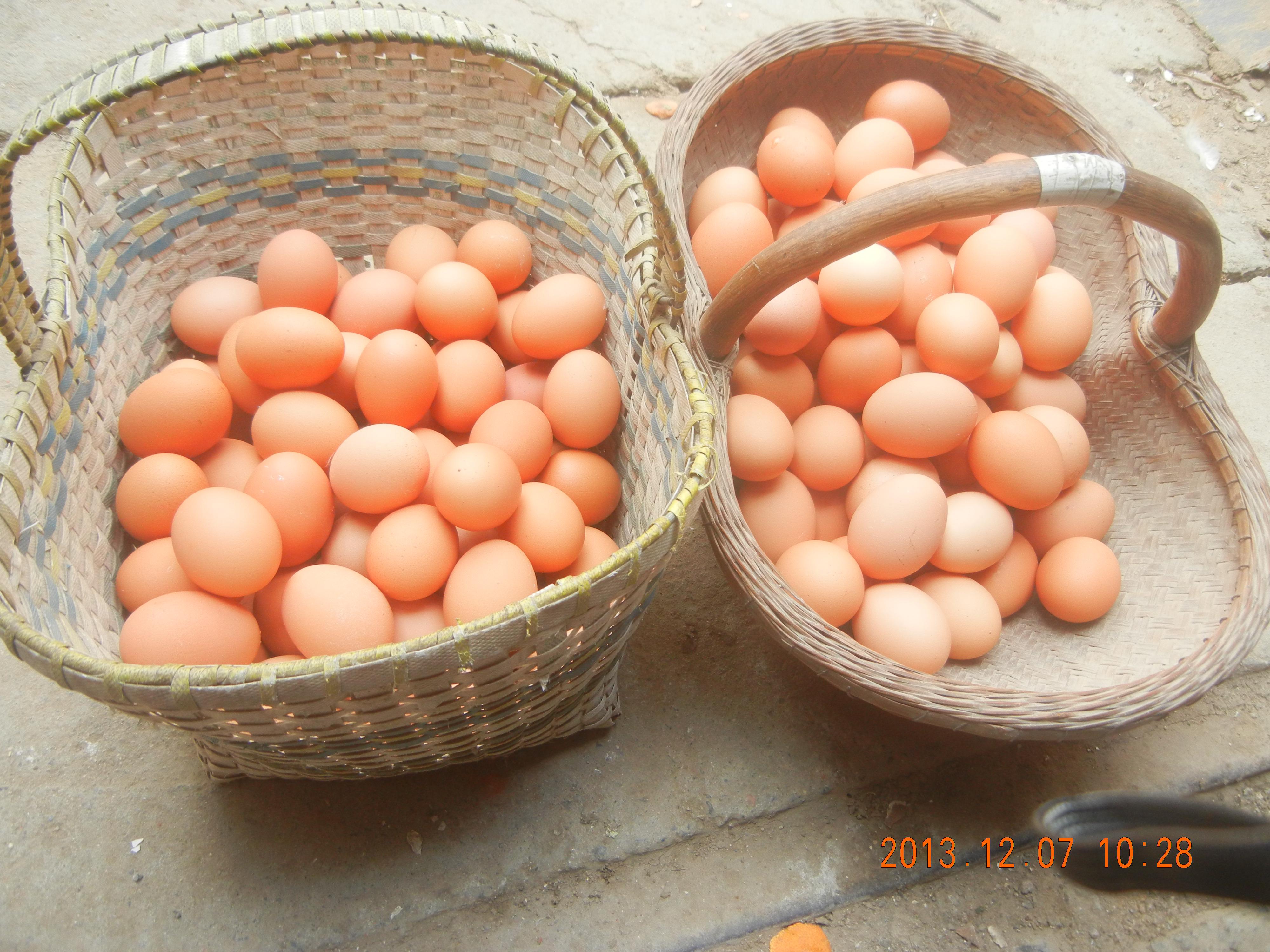 巅峰国际官网-钻营健全,你我一路成长