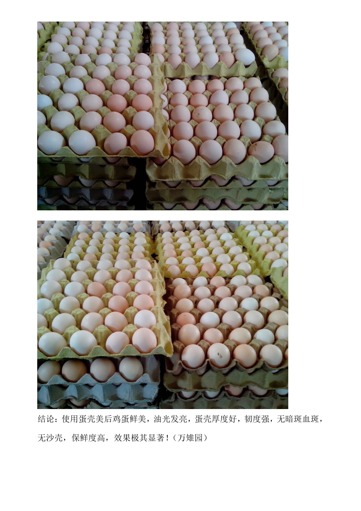 巅峰国际官网-钻营健全,你我一路成长