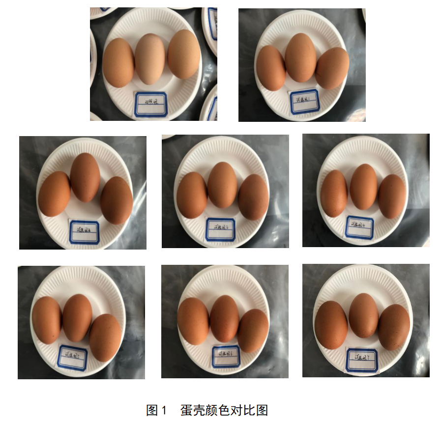 巅峰国际官网-钻营健全,你我一路成长