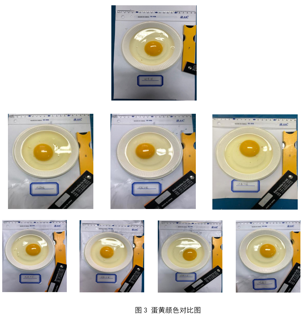 巅峰国际官网-钻营健全,你我一路成长