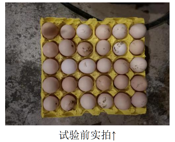 巅峰国际官网-钻营健全,你我一路成长