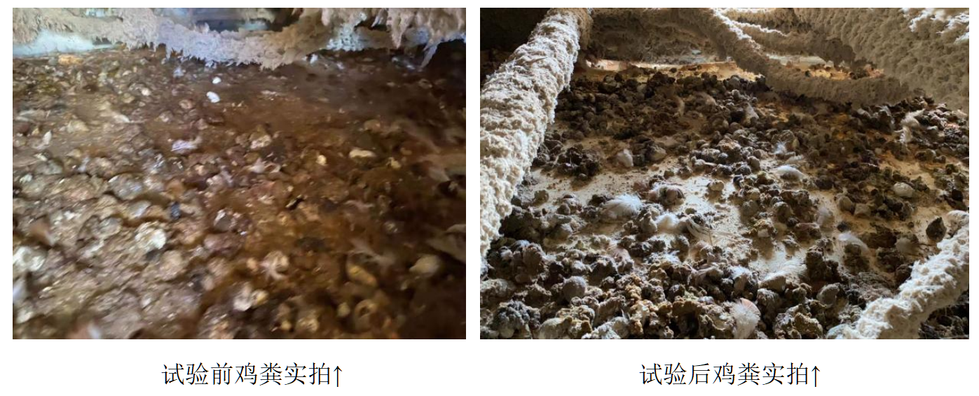 巅峰国际官网-钻营健全,你我一路成长