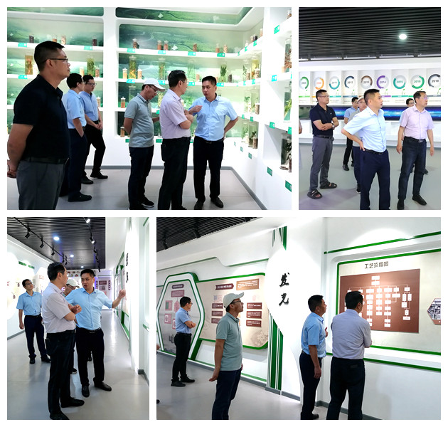 巅峰国际官网-钻营健全,你我一路成长