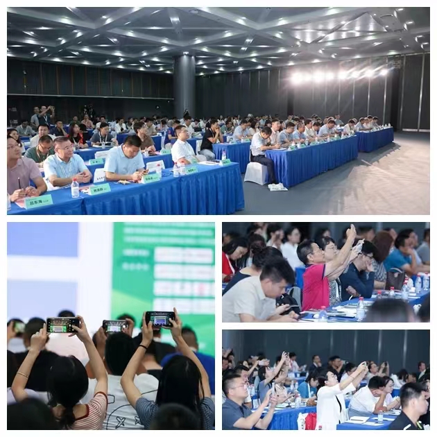 巅峰国际官网-钻营健全,你我一路成长