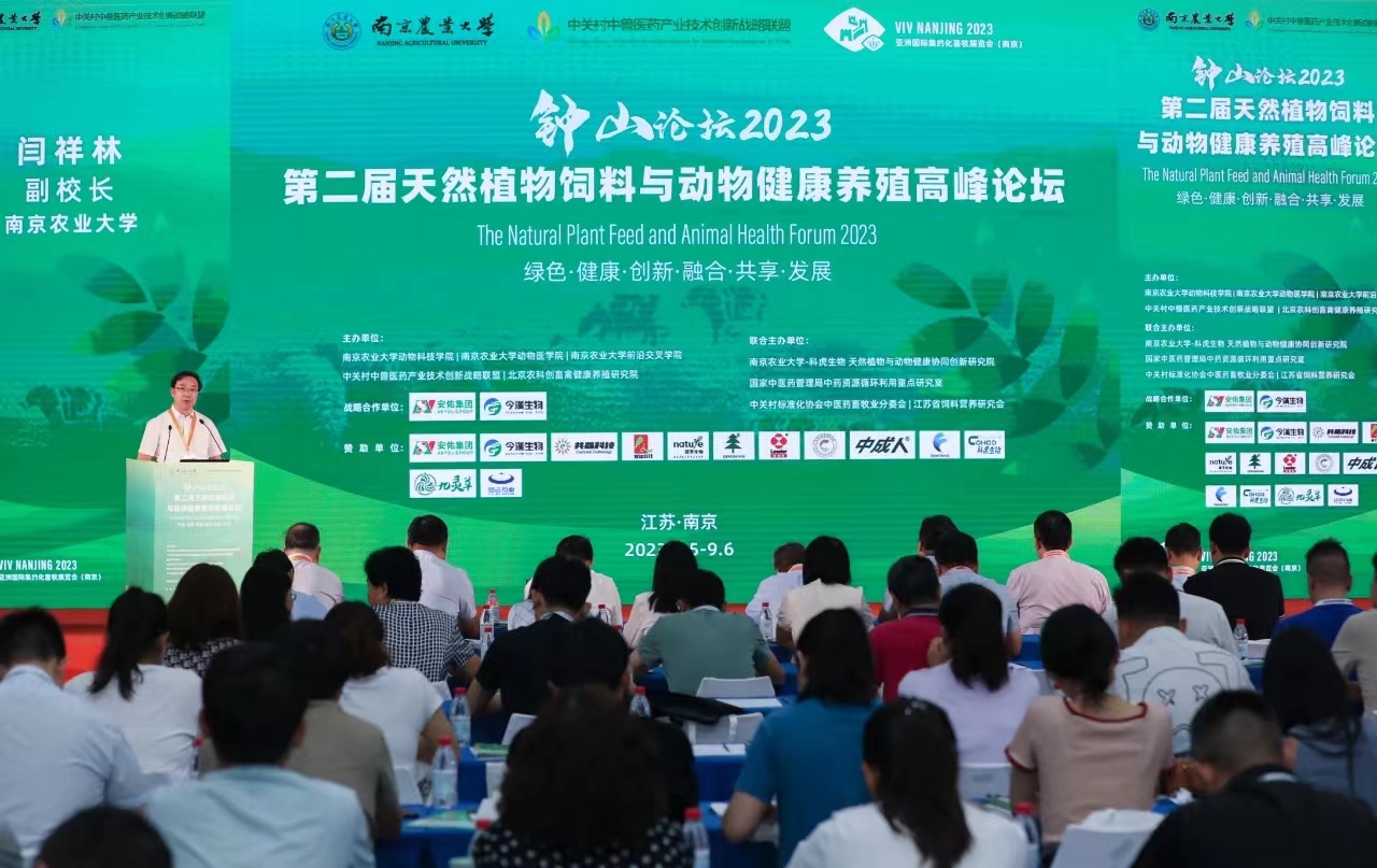 巅峰国际官网-钻营健全,你我一路成长