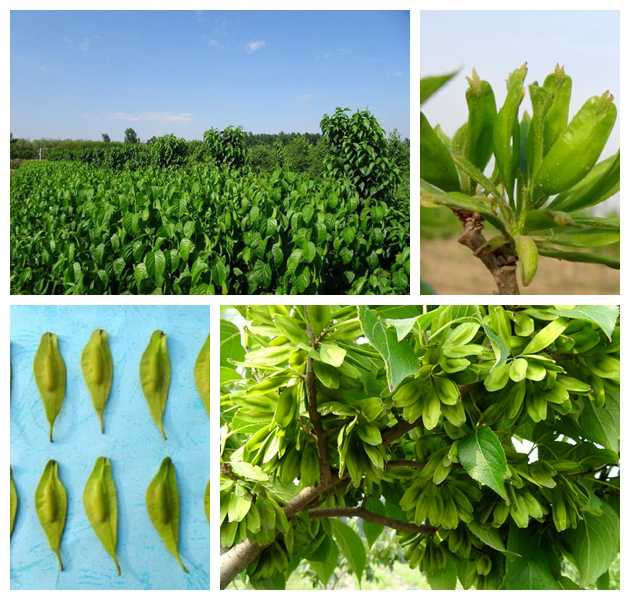 巅峰国际官网-钻营健全,你我一路成长